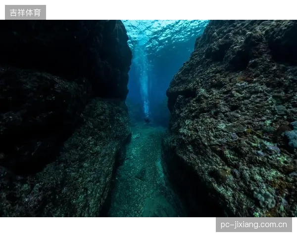 一边是海量的生物力学数据，一边是极度稀缺的运动科学家，数据解读能力的断层是否正在拖累整个行业的发展？