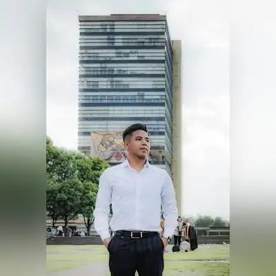 傅荷辰